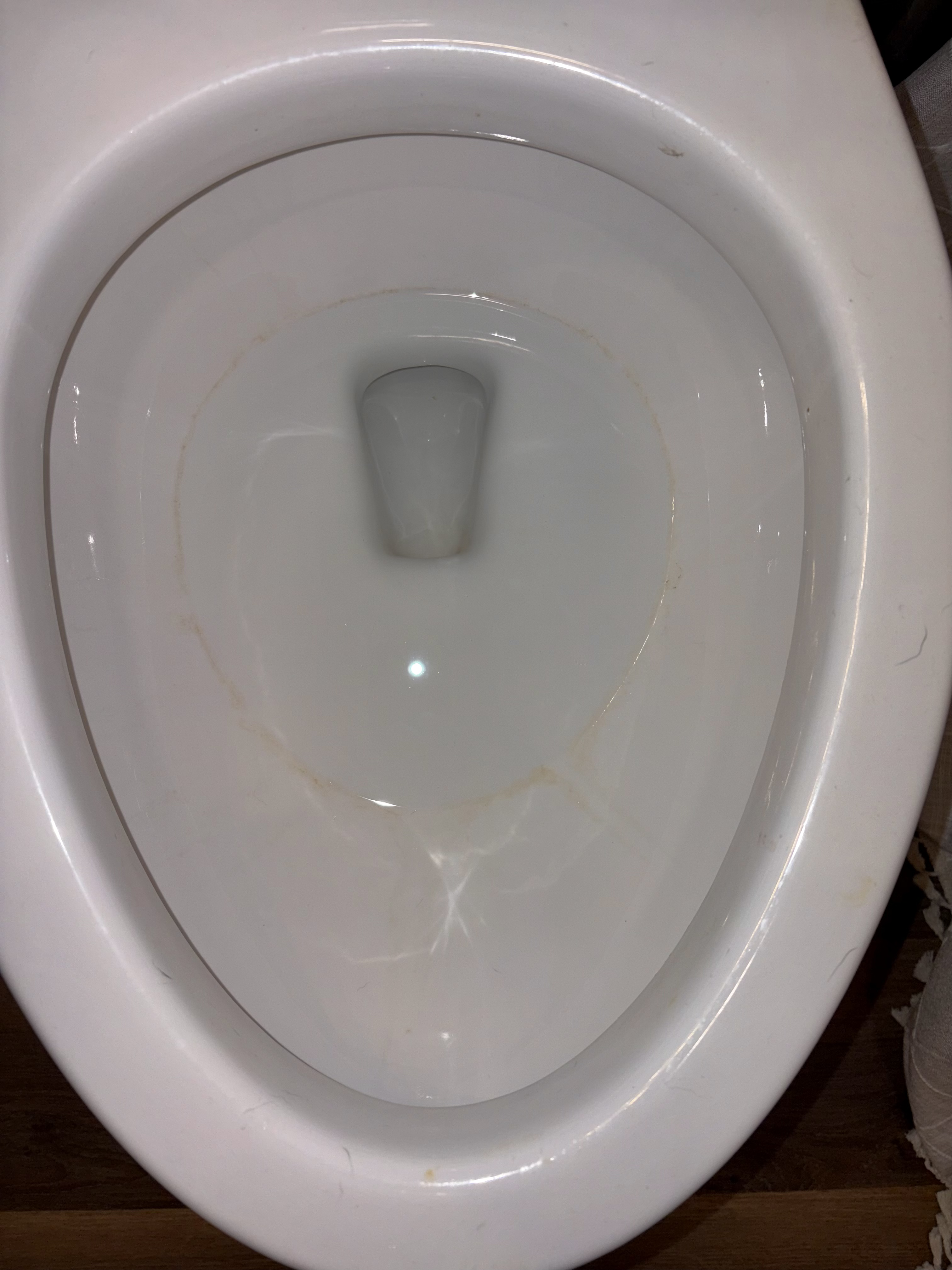 Before: Toilet refresh